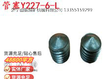 點(diǎn)擊查看詳細(xì)信息<br>標(biāo)題：英格索蘭隔膜泵配件管塞Y227-6-L 閱讀次數(shù)：375