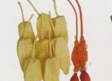 點(diǎn)擊查看詳細(xì)信息<br>標(biāo)題：取氣樣球膽 閱讀次數(shù)：253